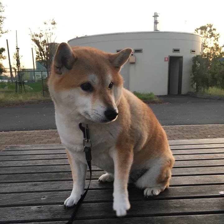 53d6a925 1016 41e0 9c11 5f3156a0f31c 1572595184795