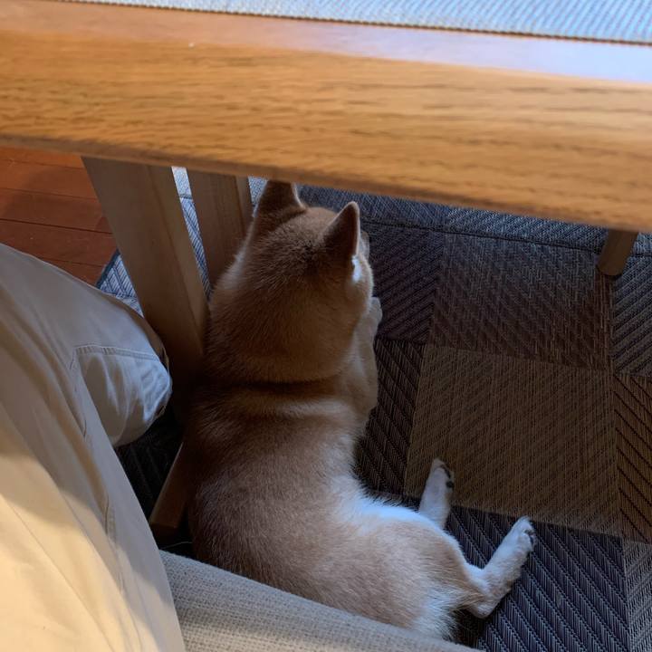 53d6fe8a 60d6 45ff b5b5 16704033f8f9 1596094405263