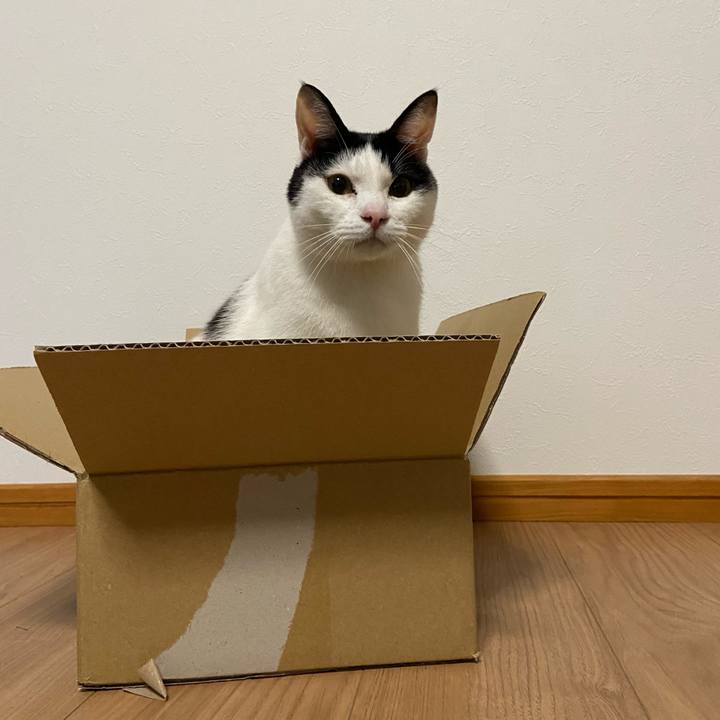 53d70475 667b 4f1c 8ae4 fe0395804c6a 1584075930941