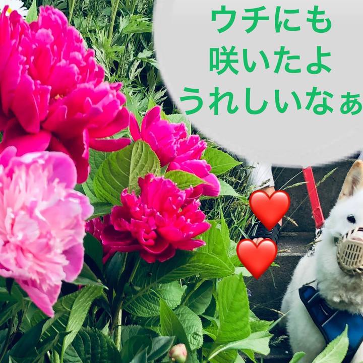 53d7246d ec5c 4865 a253 4426782318b1 1624303660026