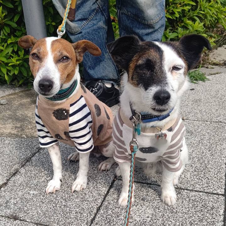 53d74049 97c2 4da0 9cc0 f34e3ec8cda0 1717337414096