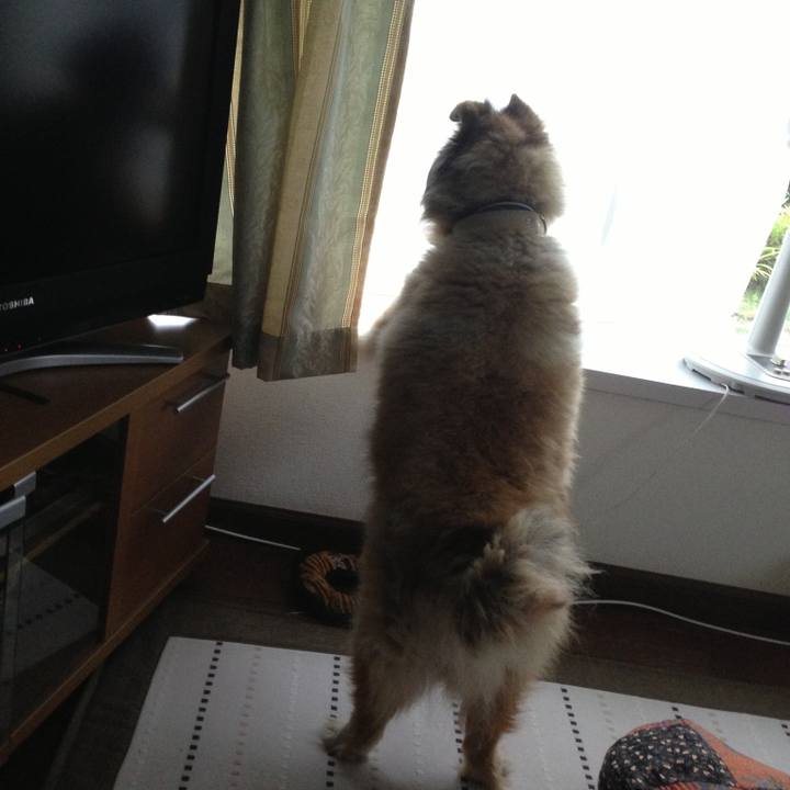 53d74925 4f43 4c60 81b4 64e4daea5054 1565438900480