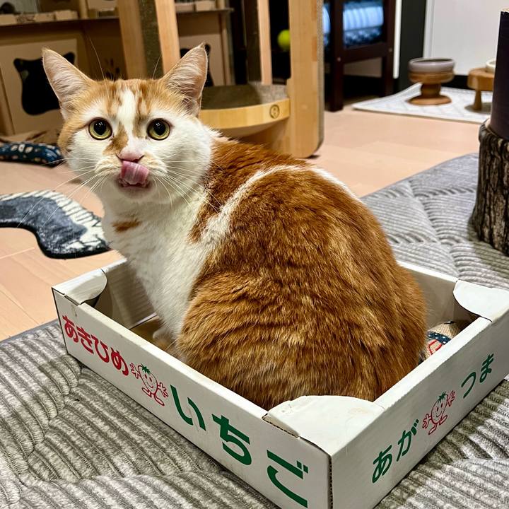 53d7854d c250 4ad5 b350 03f278966a3c 1760586364399