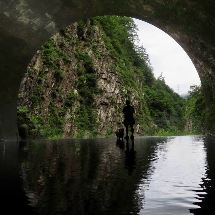 53d7b4e6 0223 4dd8 a528 83ba60f7d011 1660970466003