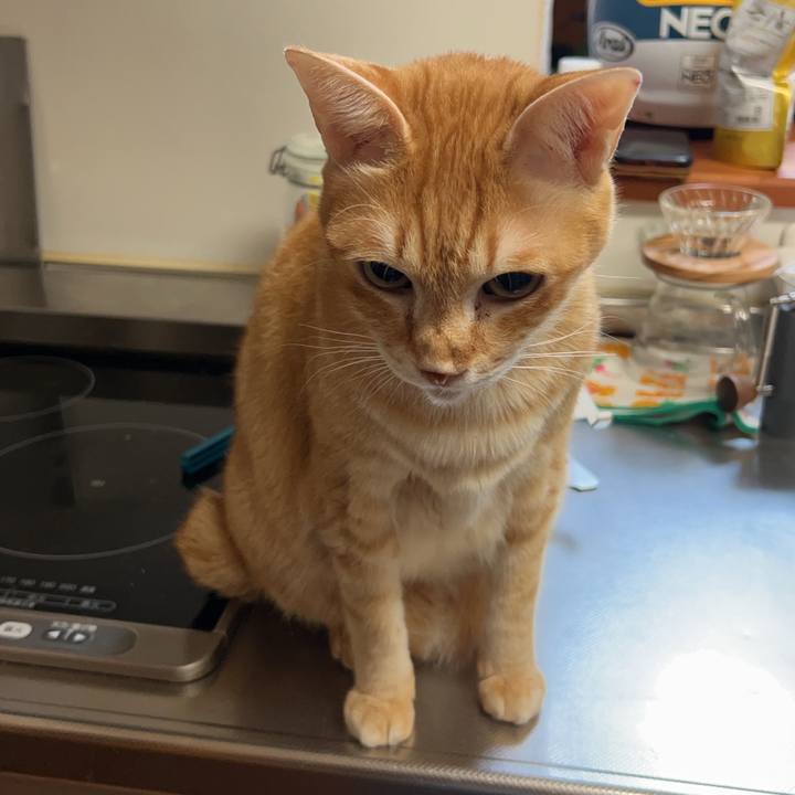 53d7f0e8 7fed 49e5 8b6e fcca79860e16 1676629372475