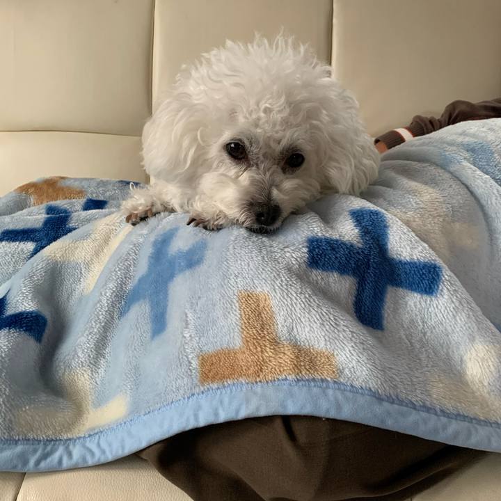 53d7f822 a844 4ffc ba9a 76474079541e 1575503906444