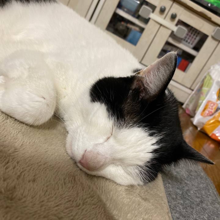 53d7ff04 4ed6 45d1 b3b6 4a2e88cc816a 1666701608628