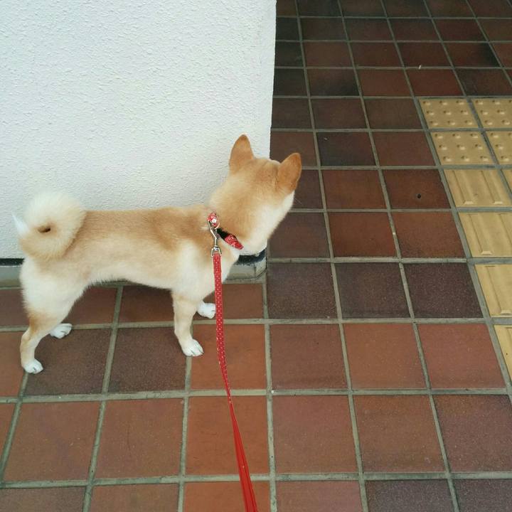 53d819cf 5e05 49f8 a23d 149fe40ce3fc 1509443737649