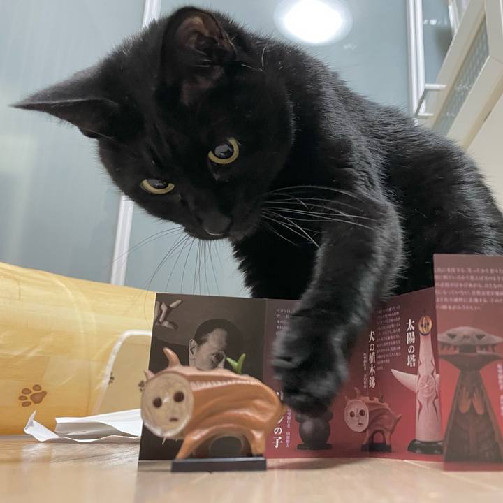 53d8389d d4cb 4f85 98d9 72c74000bf47 1671633422437