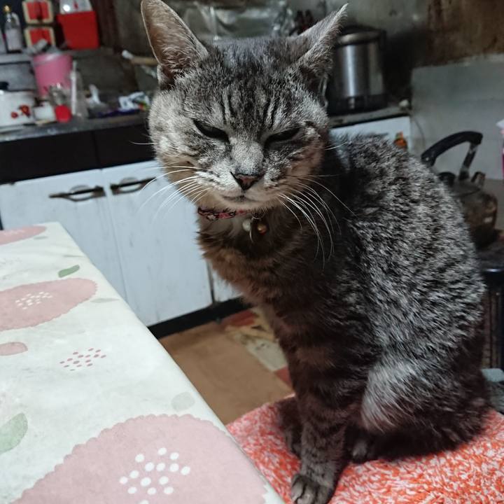 53d8454e a400 42d8 a0e0 90c79a8d44df 1583313923008