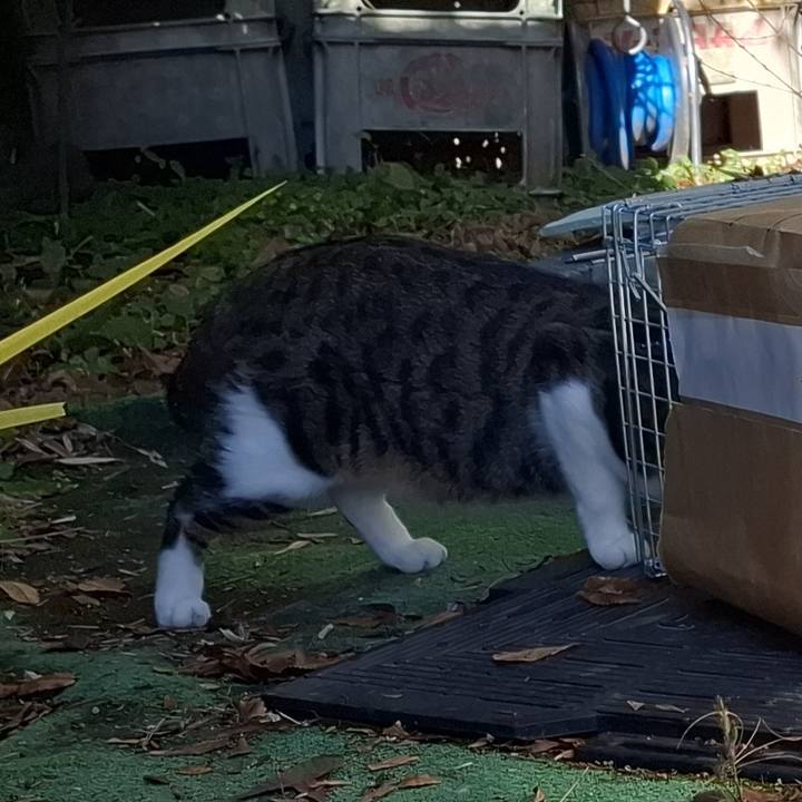 53d85f88 b01f 430b a589 57c0c96dd091 1766467789920