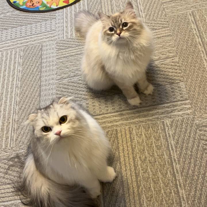 53d88f7f 5201 4c8d 843d 0f38eff0be27 1702434166890