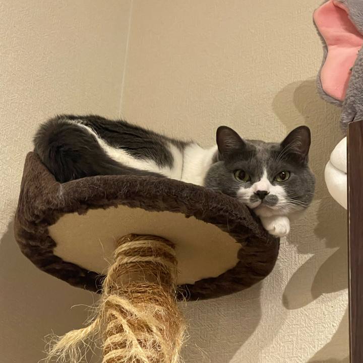 53d89c49 27f4 4a78 bb93 189a6f27b7e9 1757785424790