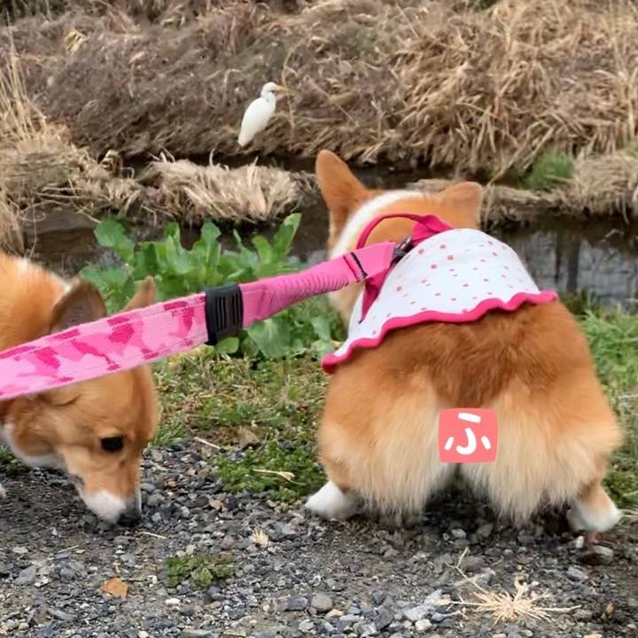 53d8cdc5 b5de 4d1a 9843 07abe69046b1 1615168198387