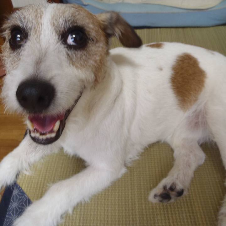 53d90783 c15b 4b2c 814f 741c84e05bdf 1533019718089