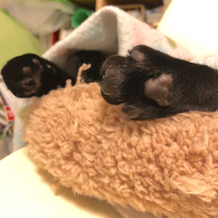 53d93f0e e055 4169 aa26 93f849233e80 1518149138129