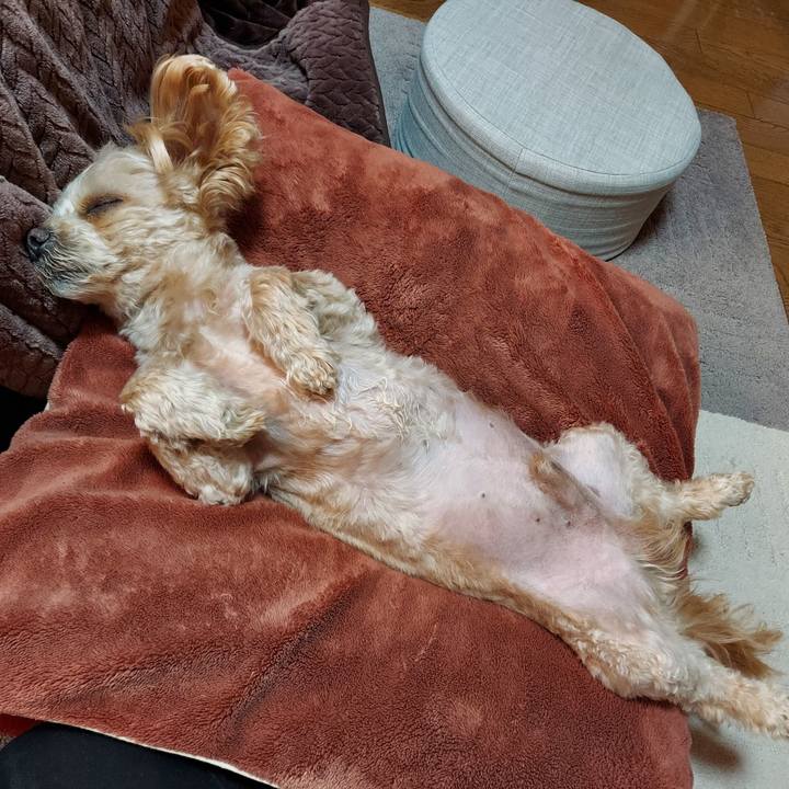 53d9a742 c2be 4f91 ac56 df3fdebe8b4b 1646267510563