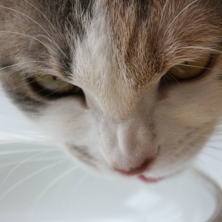 53d9c250 15ec 4e2f bfe8 2faaee7acc33 1521762730710