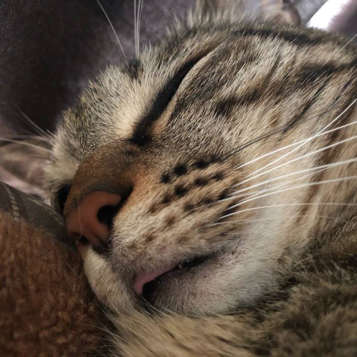 53d9c2db 1595 4687 9693 dee4bd2d3fbf 1562445027619