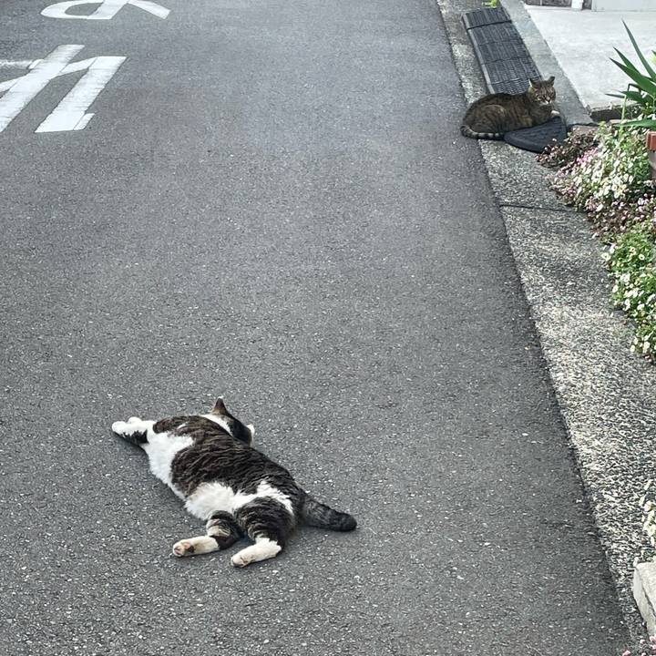 53d9d92a 80bf 4138 8ca7 d27ecf1d38e6 1650616654404