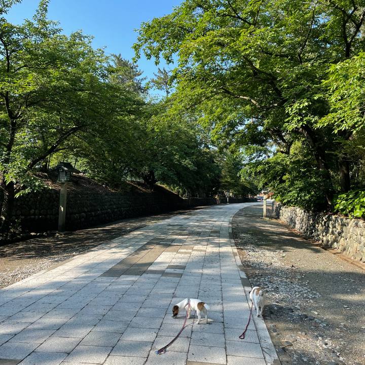 53d9eb3b 4ac2 46b2 bcce b439562bc9b1 1623800893634