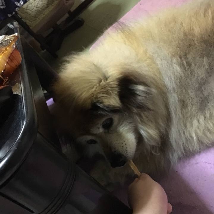 53da1cc2 bb41 4d98 bd67 85694c701e62 1558424784294