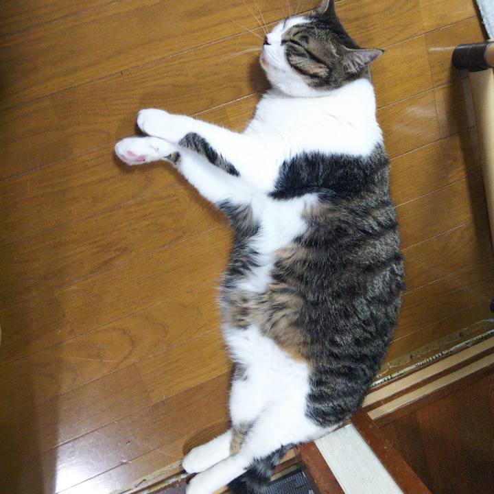 53da1d56 f198 4e0a 82c1 9df0cfa063b8 1656255256331