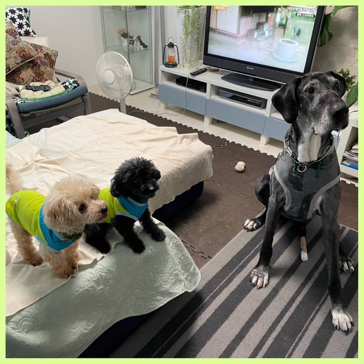 53da8198 db0a 480c b925 73072f63036d 1655331816512