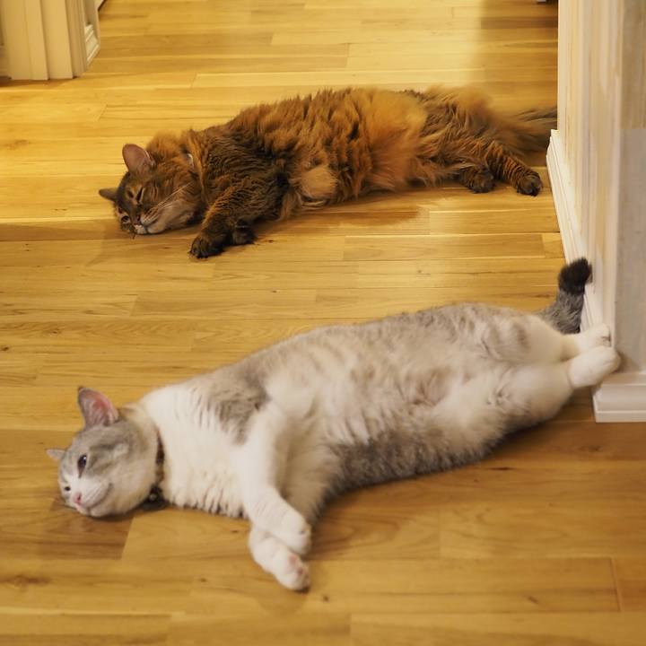 53db8611 a257 4639 ac96 9bdf3a7880db 1695304022998