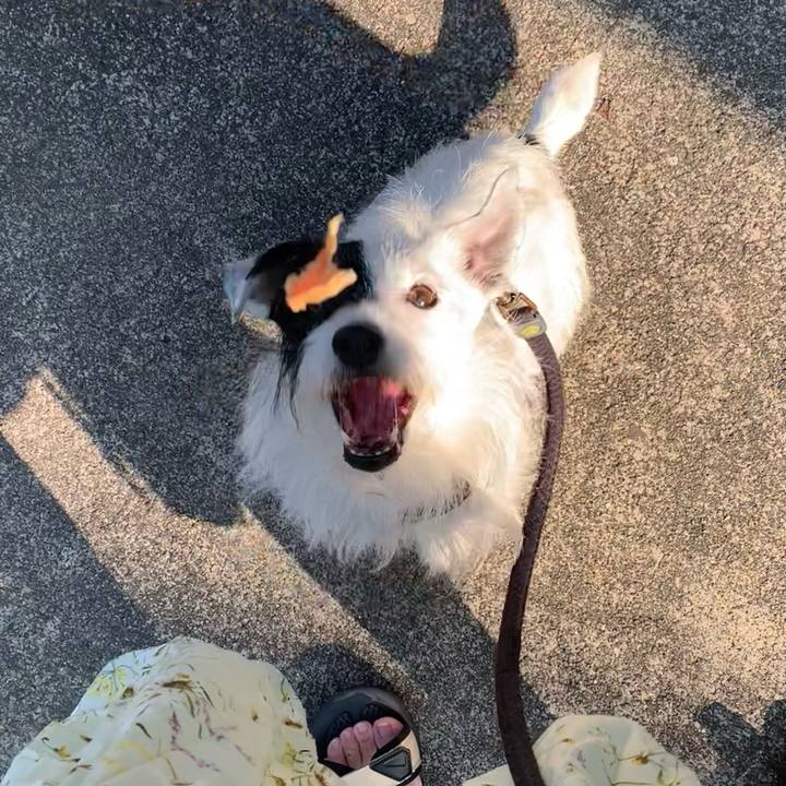 53db8a6a e2c1 4557 9275 5ad18a08704f 1690497977757