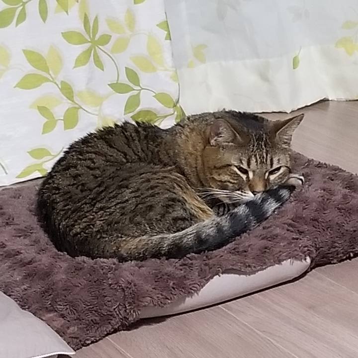 53db97a4 006c 4876 90d4 38e5768f8796 1613564390892