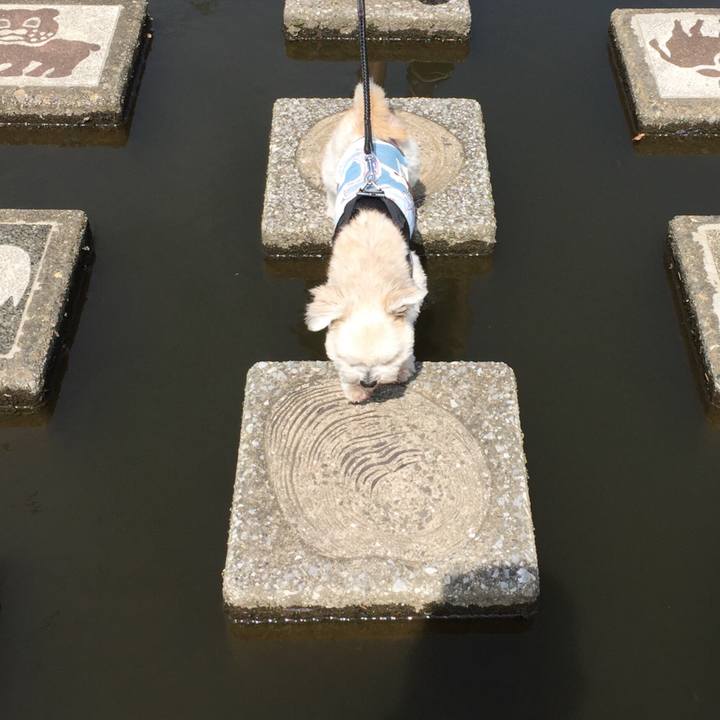 53dbc918 ad4b 455a 93ef 7a0d54537bdb 1537165010933