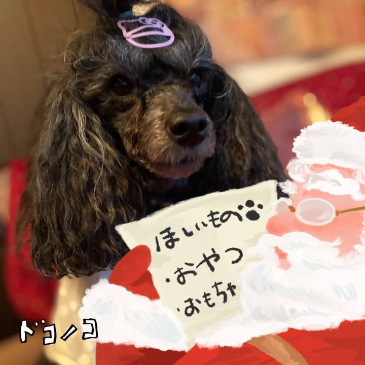 53dc379b 4daf 45f5 a99e 79e6e6b0a03d 1730195381606