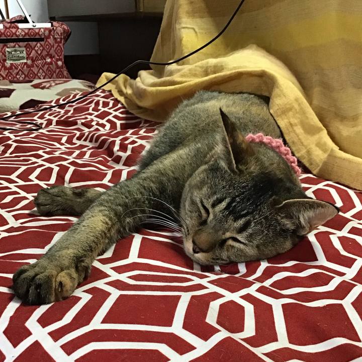 53dc4abf 08fe 41f5 a428 4f6b17bf1739 1615093006690