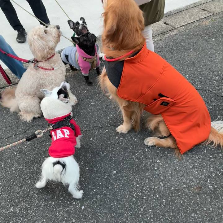 53dcac16 ee68 45cd b5d7 518590c03140 1765353094630