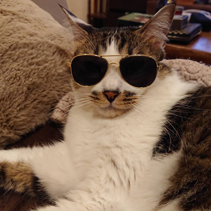 53dcb819 cd2a 43a9 bfc0 886577507591 1699791886667