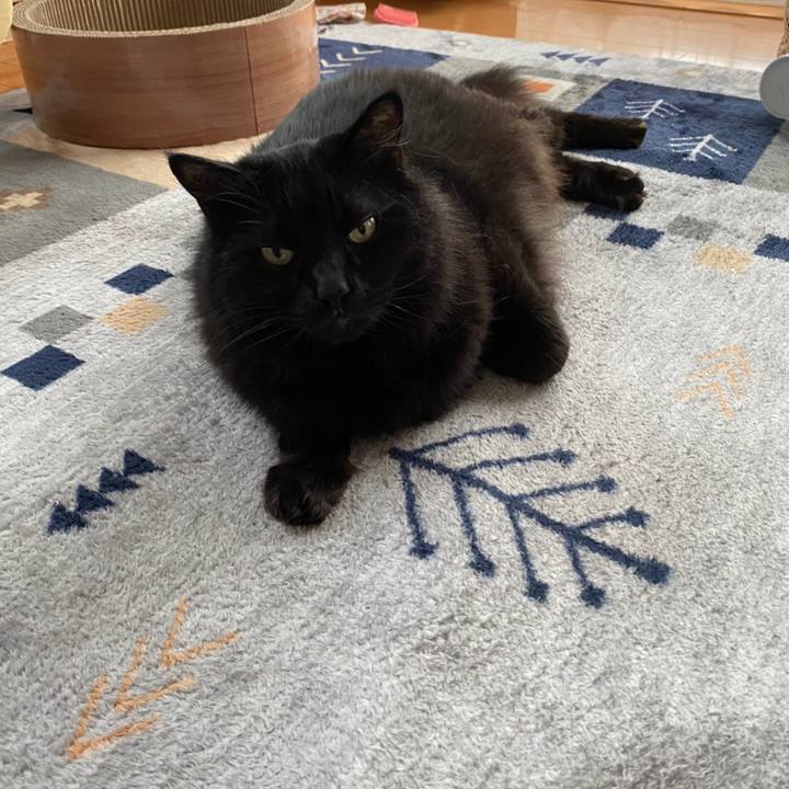 53dcc1f8 2e60 4f01 b1d5 7bc26c698860 1592976742938