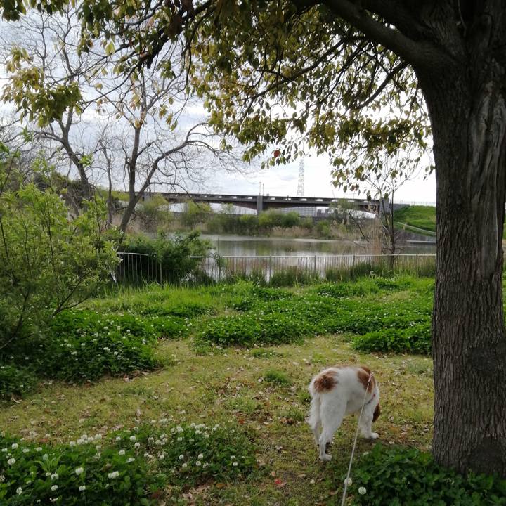 53dcdaa6 3359 461c b4a7 dac46f2b6120 1587303883630