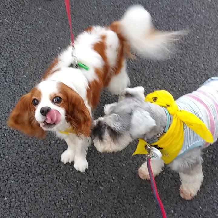 53dd0355 7dd4 4093 8608 095db006168a 1564952583177