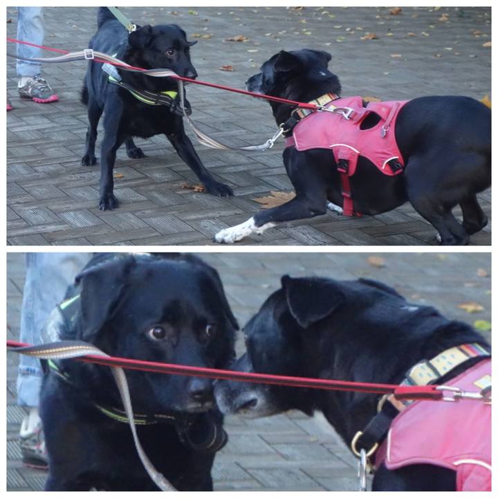 53dda884 d028 45cd 8cad 9a6a1d27247a 1699059713747