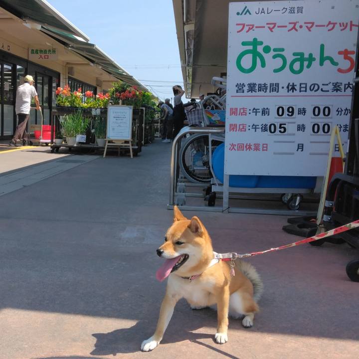 53ddba1a 9868 411c a7d3 09d8a3003a3d 1750509366248