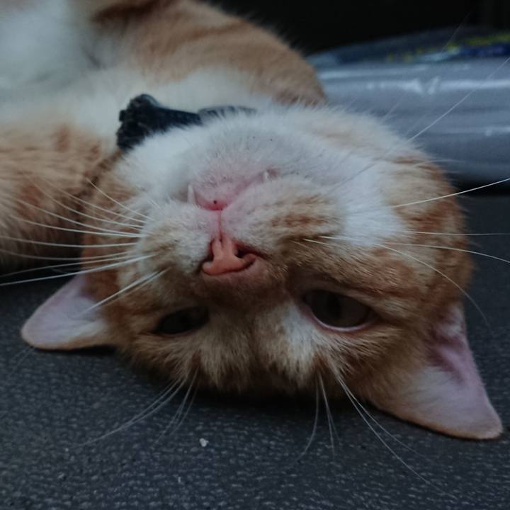 53de01c9 1465 403f 9e97 3d7358e9970d 1567069485648