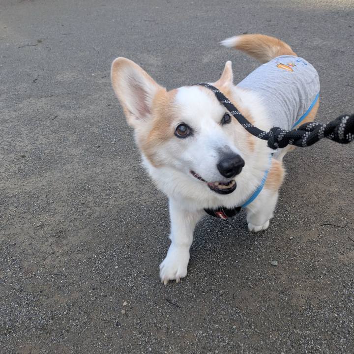 53de0648 78c2 43ee b56b 4b620aae33da 1766718137104