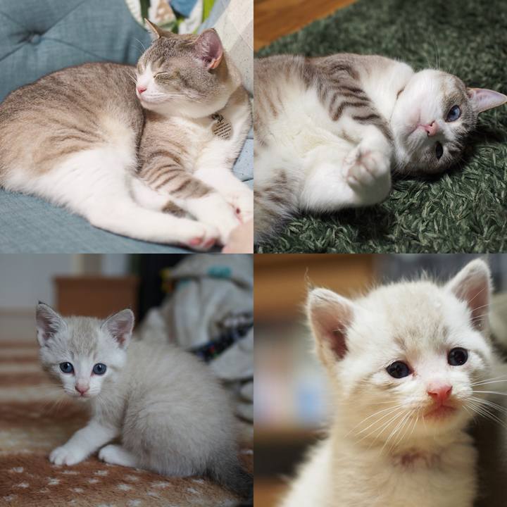 53de1570 a9e3 4080 ad5b 3c168a225847 1595244461507