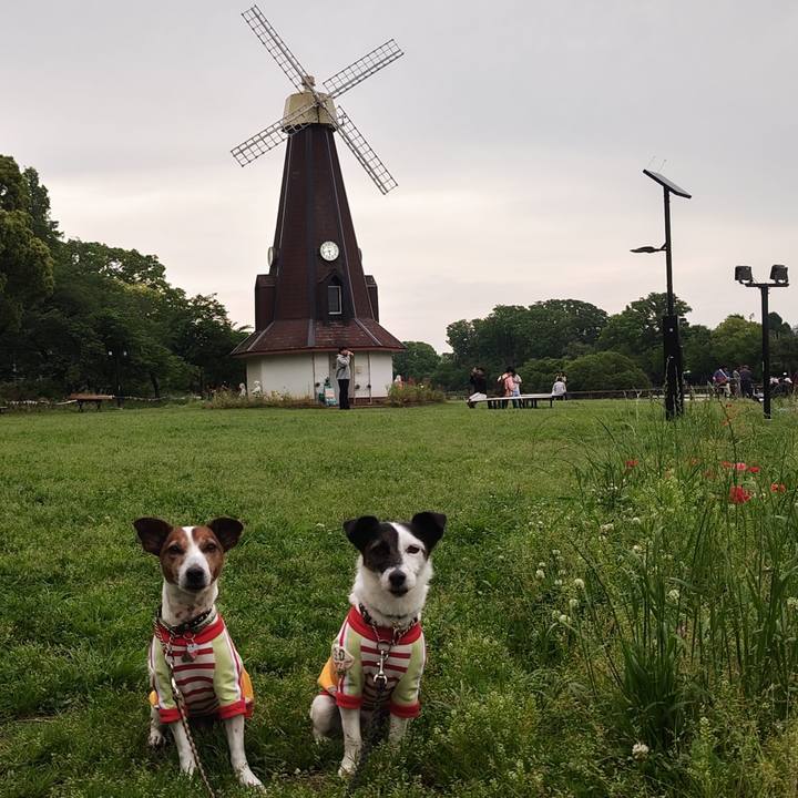 53de2808 9dc1 4869 b668 f02a5d26ff65 1747558294107