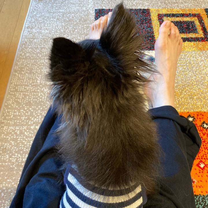 53de314e e119 4c11 8102 4164d66aaed1 1719158634887