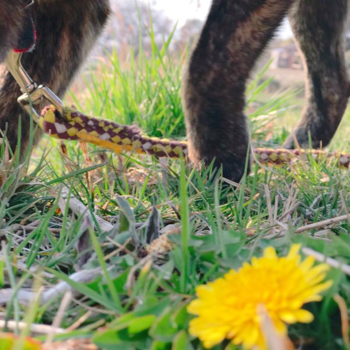 53de5960 2912 49f4 997d cc900b2a6997 1521974203439