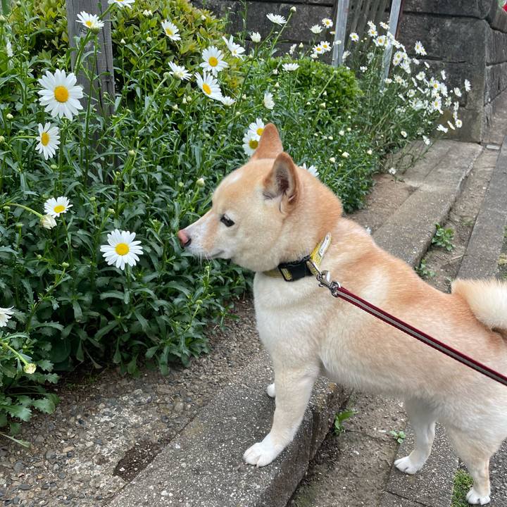 53de6a92 bb9c 4988 93ff 81abe3b8a94e 1681685113846