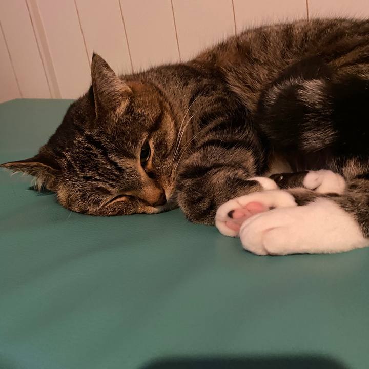 53de8764 a9d8 4575 9761 1fb694a15a96 1588761457096