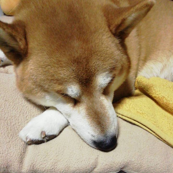 53ded4b8 0346 436e 9516 073b1166263e 1642768666378